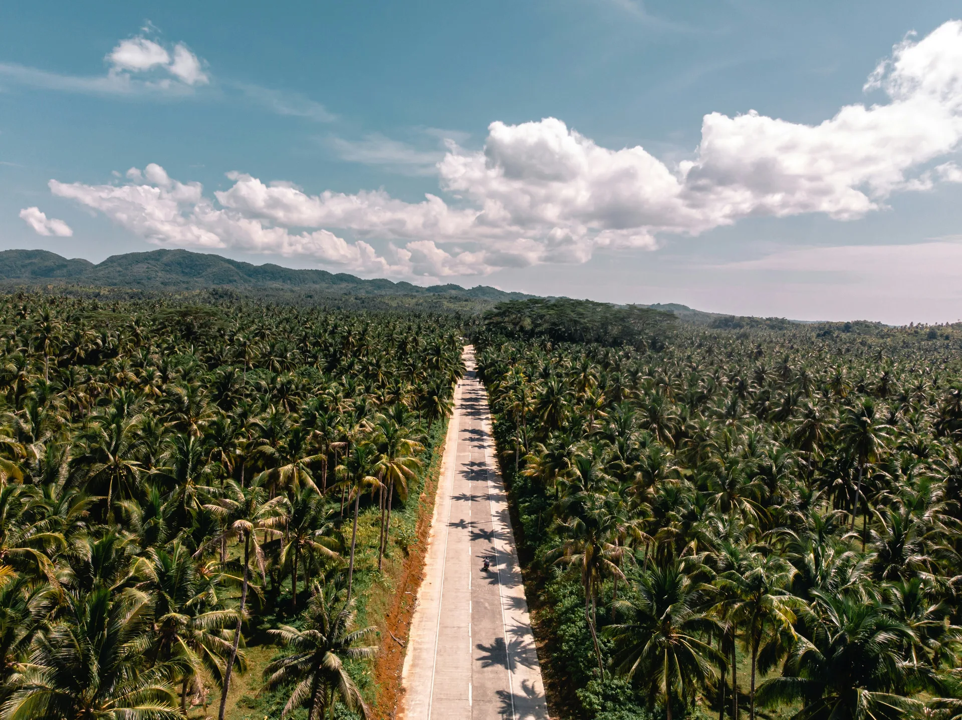 The palm-lined road cutting across the island